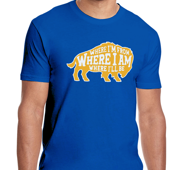 Unisex T-Shirt, Royal Blue (100% cotton)