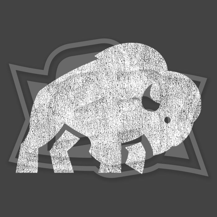 "Bison Republic" Sweatshirt Hoody (multiple color options)