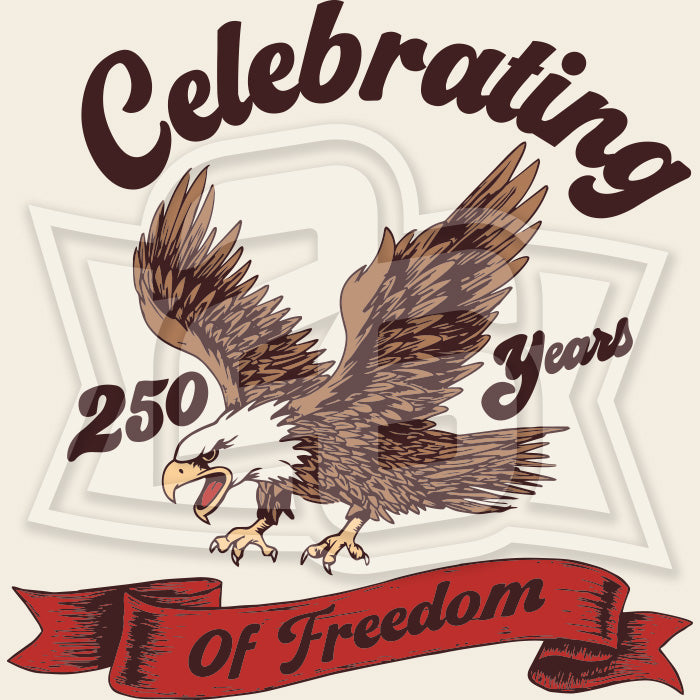 USA 250: "Celebrating Freedom" Premium Garment-Dyed Heavyweight T-Shirt