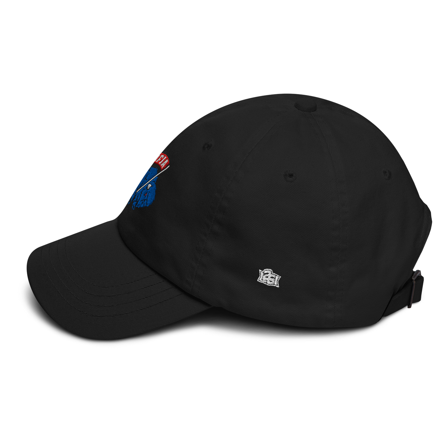 "Fly the Flag" Dad Hat