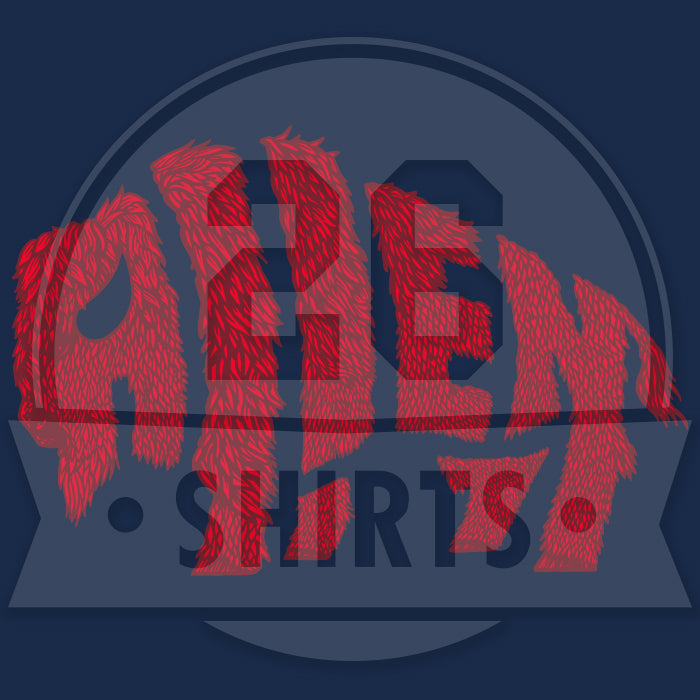 "Allen is Buffalo" Ladies T-Shirt