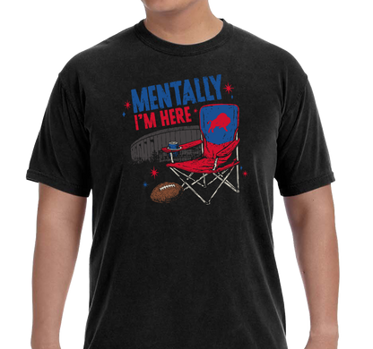 Comfort Colors Premium Garment-Dyed Heavyweight T-Shirt, Black (100% ringspun cotton)