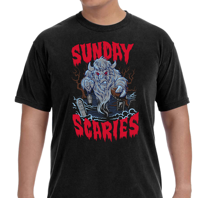 Comfort Colors Premium Garment-Dyed Heavyweight T-Shirt, Black (100% ringspun cotton)