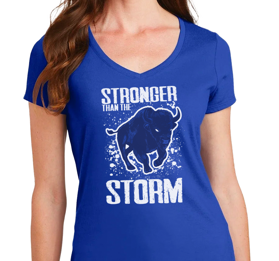 Ladies V-Neck, Royal (100% cotton)