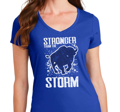 Ladies V-Neck, Royal (100% cotton)