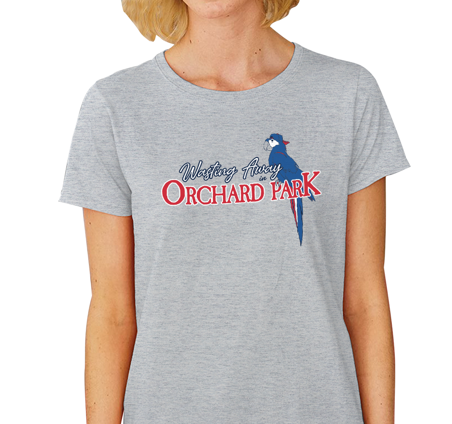 Ladies T-Shirt, Heather Gray (90% cotton, 10% polyester)