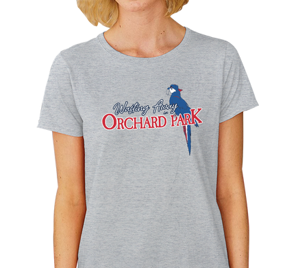 Ladies T-Shirt, Heather Gray (90% cotton, 10% polyester)