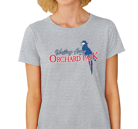 Ladies T-Shirt, Heather Gray (90% cotton, 10% polyester)