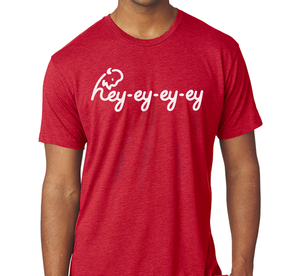 Unisex Tri-Blend T-Shirt, Vintage Red (50% polyester, 25% cotton, 25% rayon)