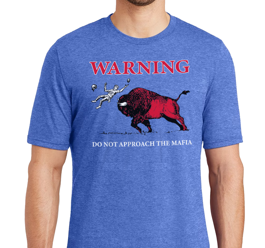 Tri-Blend T-Shirt, Royal Frost (50% polyester, 25% cotton, 25% rayon)
