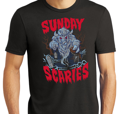 Tri-Blend T-Shirt, Black (50% polyester, 25% cotton, 25% rayon)