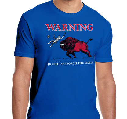 Unisex T-Shirt, Royal (100% cotton)