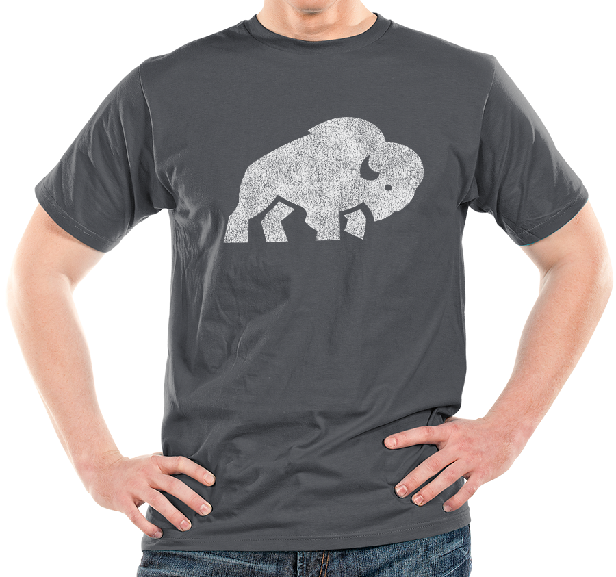 "Bison Republic" Unisex T-Shirt (multiple color options)