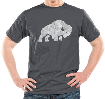 "Bison Republic" Unisex T-Shirt (multiple color options)