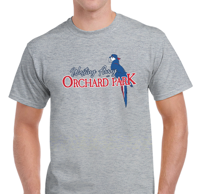 Unisex T-Shirt, Heather Gray (90% cotton, 10% polyester)