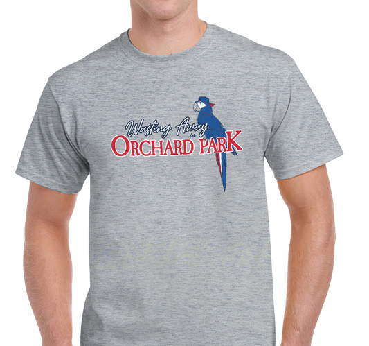 Unisex T-Shirt, Heather Gray (90% cotton, 10% polyester)