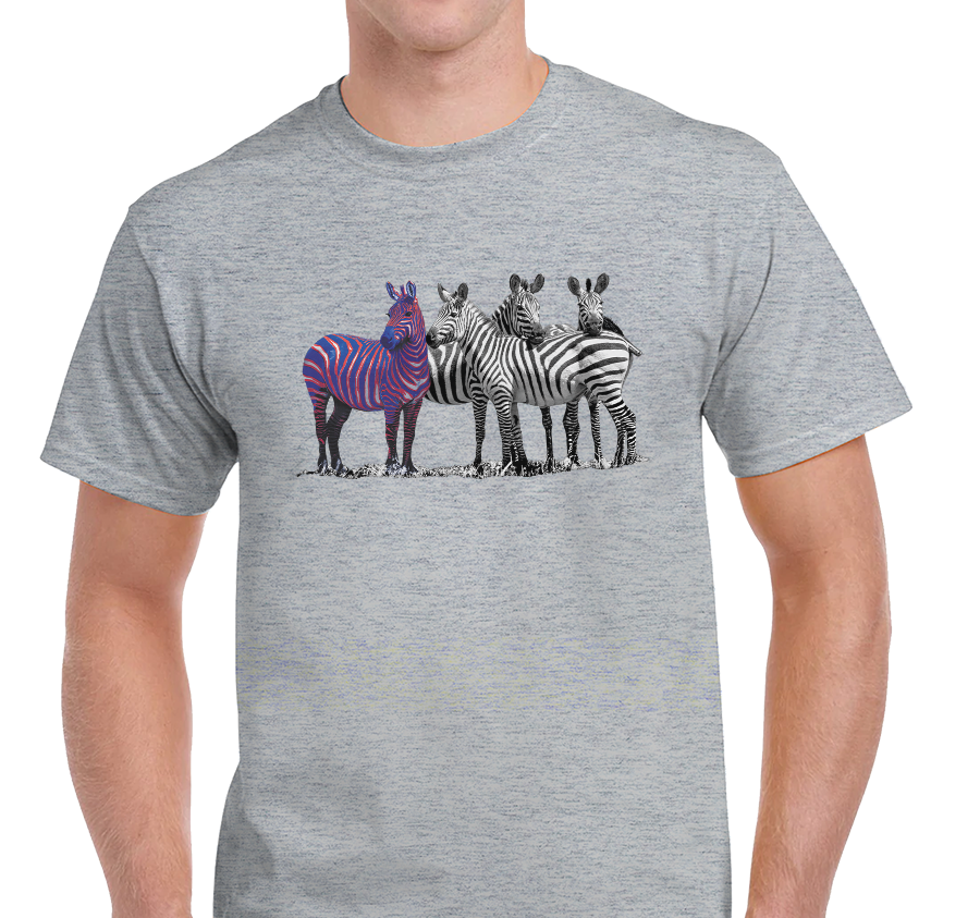 Unisex T-Shirt, Heather Gray (100% cotton)