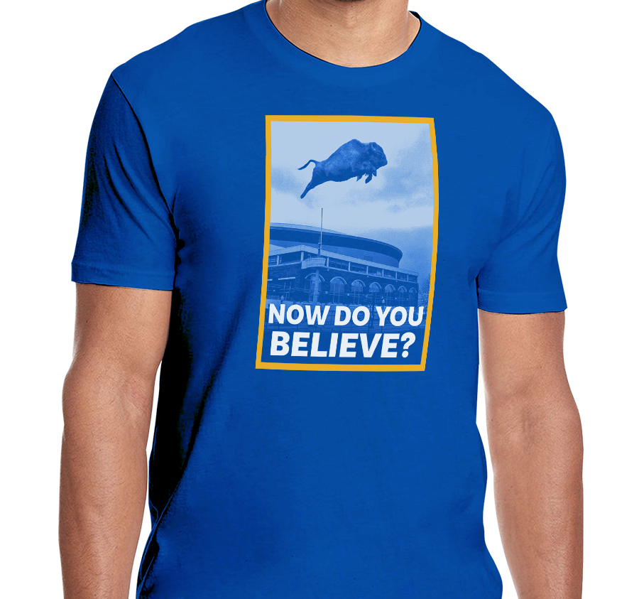 Unisex T-Shirt, Royal (100% cotton)
