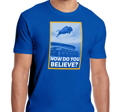 Unisex T-Shirt, Royal (100% cotton)