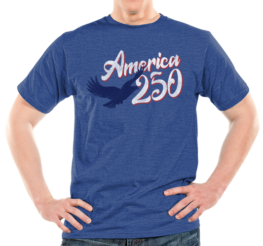 Heather Royal (50% cotton, 50% polyester)
