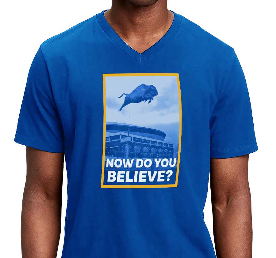 Unisex V-Neck, Royal (100% cotton)