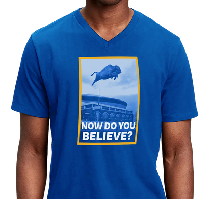 Unisex V-Neck, Royal (100% cotton)