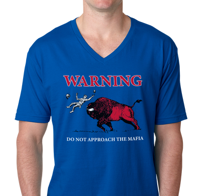 Unisex V-Neck, Heather Royal, (100% cotton)