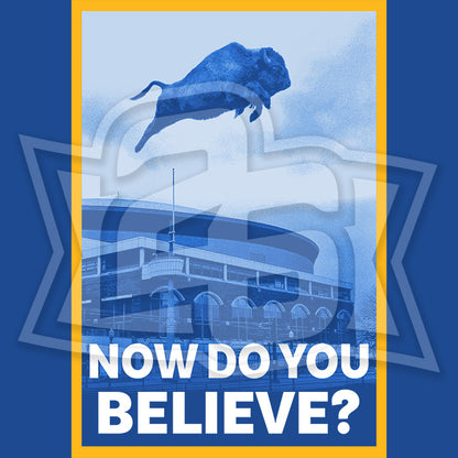 Volume 18, Shirt 25: "Now Do You Believe?"