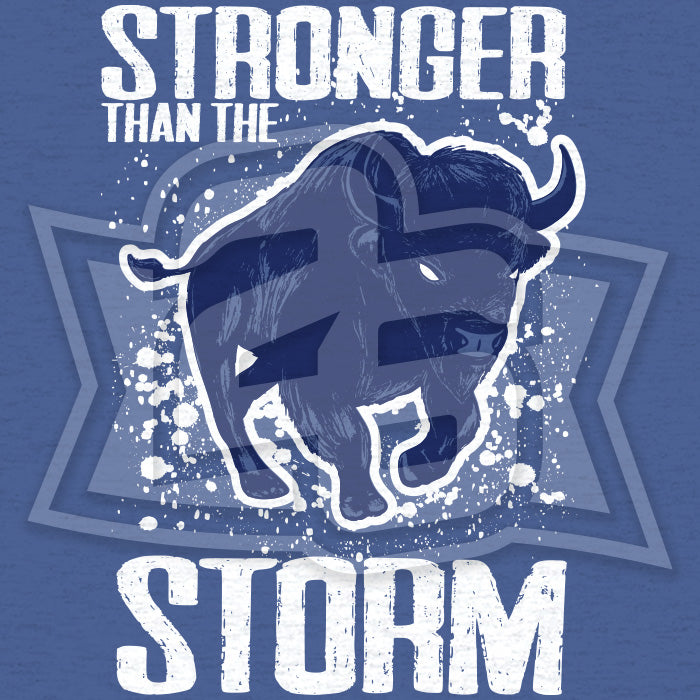 Volume 16, Shirt 10: "Stronger Than the Storm"