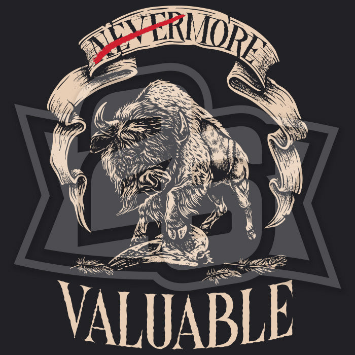 Volume 16, Shirt 13: "More Valuable"