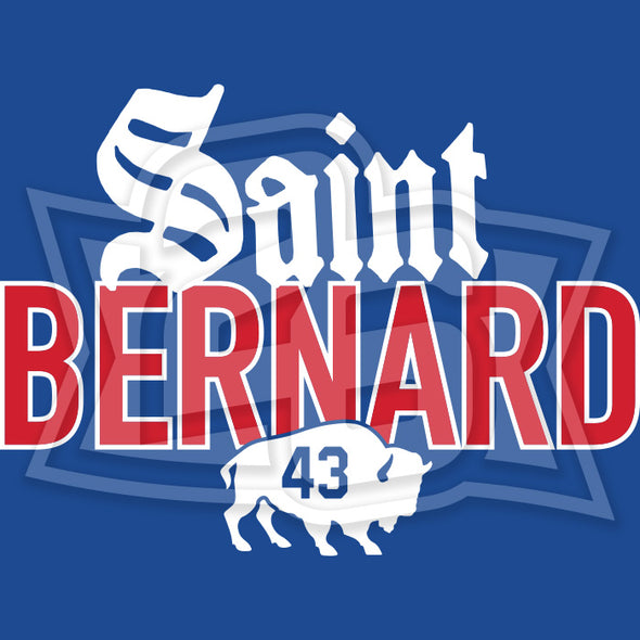 Special Edition: "Saint Bernard"