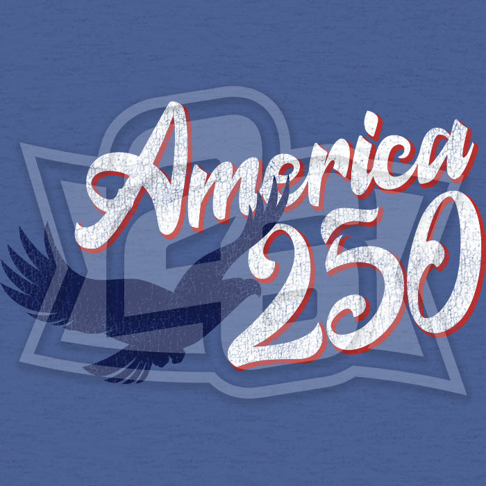 USA 250: "Eagle" Sweatshirt Hoody