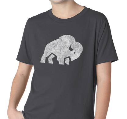 Youth T-Shirt, Dark Gray Heather (52% cotton, 48% polyester)