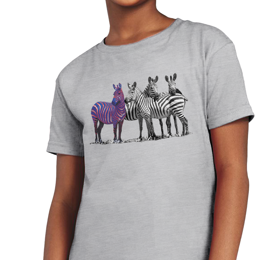 Youth T-Shirt, Heather Gray (100% cotton)