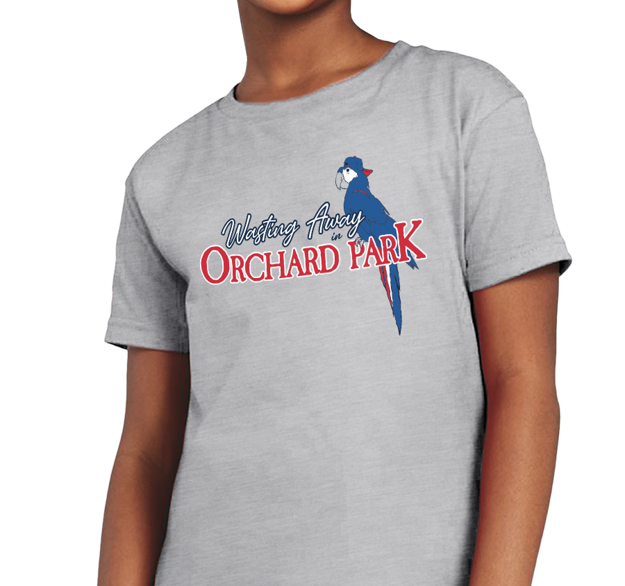 Youth T-Shirt, Heather Gray (90% cotton, 10% polyester)