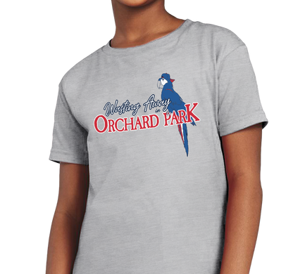 Youth T-Shirt, Heather Gray (90% cotton, 10% polyester)