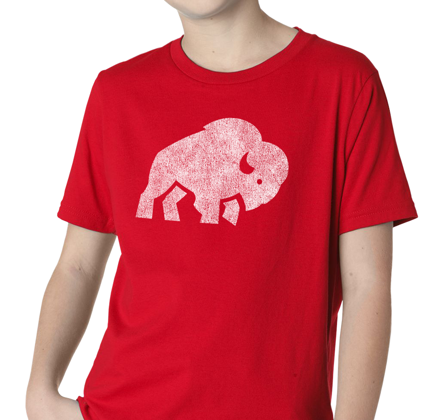 Youth T-Shirt, Red (100% cotton)