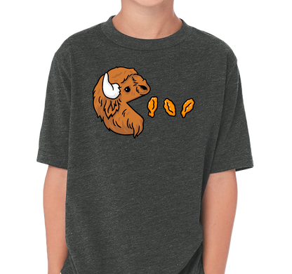 Youth T-Shirt, Charcoal (60% cotton, 40% polyester)