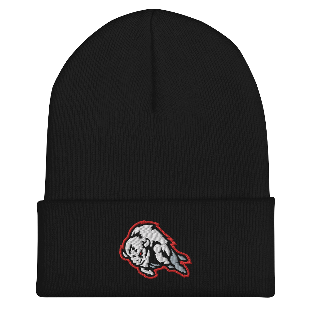 "Onward" Embroidered Cuffed Beanie (Red on Black)