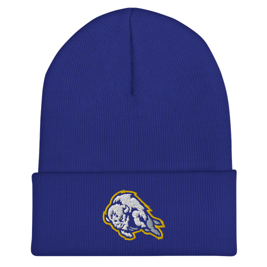 "Onward" Embroidered Cuffed Beanie (Gold on Royal)