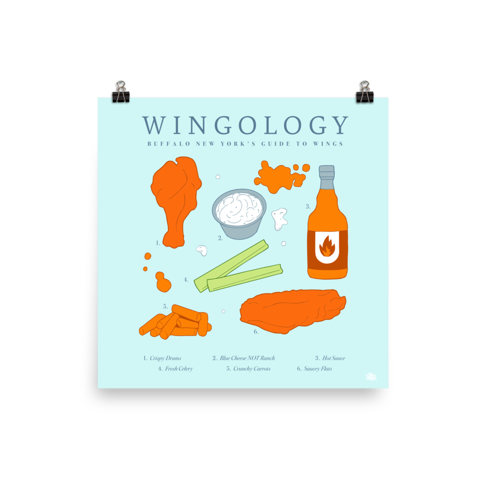 Vol 15, Shirt 1: "Wingology" 16x16 Poster