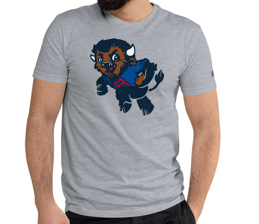 Heather Gray (90% cotton, 10% polyester)