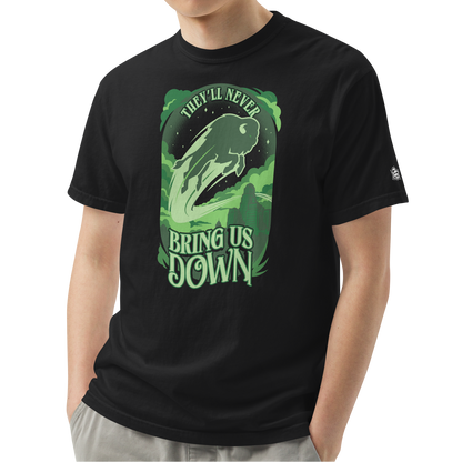 Black (100% ringspun cotton)