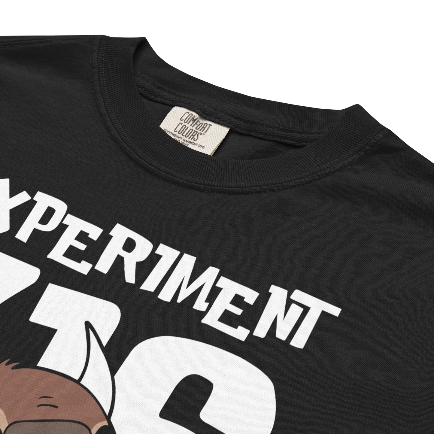 "Experiment 716" (2025 Edition) Premium Garment-Dyed Heavyweight T-Shirt
