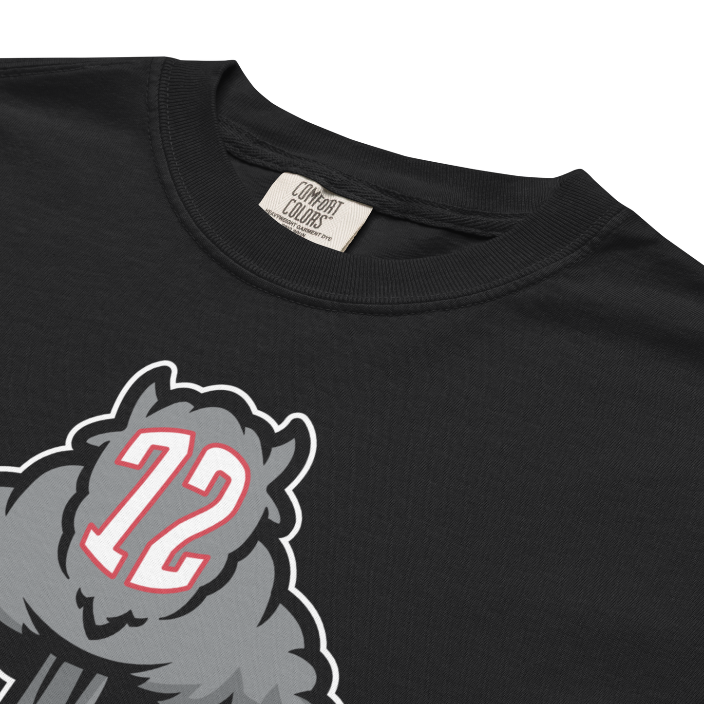 "TNT" Premium Garment-Dyed Heavyweight T-Shirt