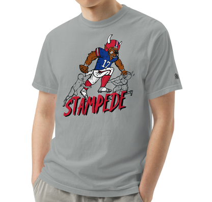 Granite (100% ringspun cotton)