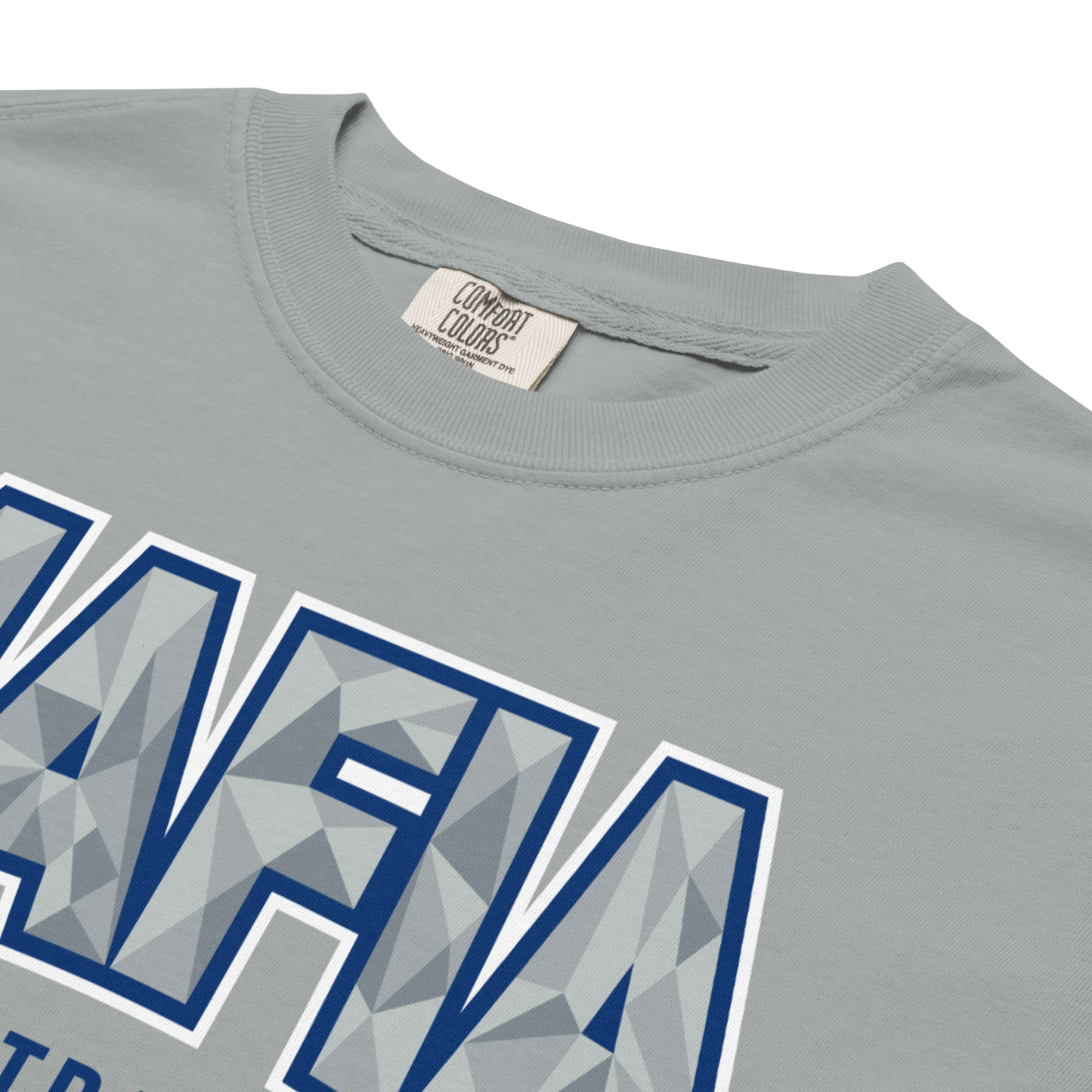 "Winter Fury" Premium Garment-Dyed Heavyweight T-Shirt (multiple color options)
