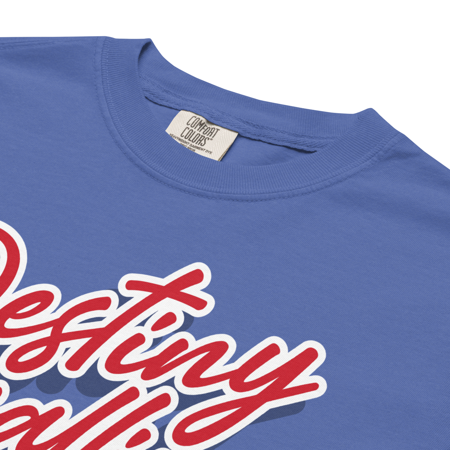 "Eager Eyes" Premium Garment-Dyed Heavyweight T-Shirt