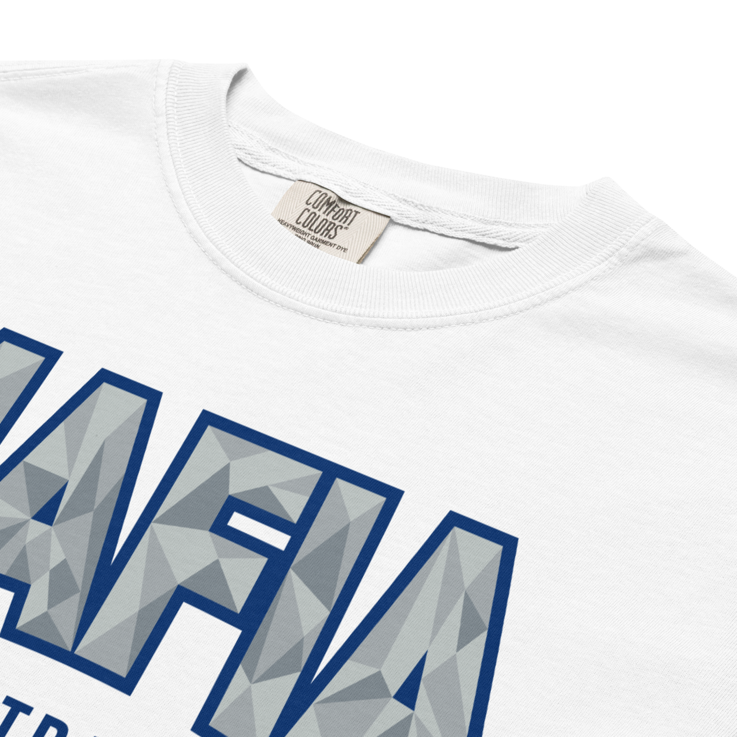 "Winter Fury" Premium Garment-Dyed Heavyweight T-Shirt (multiple color options)