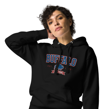 "Buffalo Collegiate" Embroidered Sweatshirt Hoody (multiple color options)